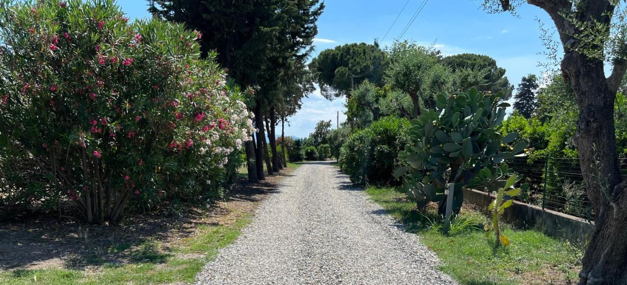 Masseria Brica Rossa Villa Thurii Eksteriør bilde